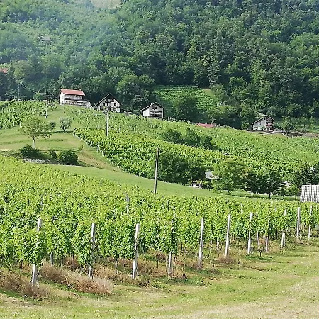 Grobelnik Tourist Farm Sevnica