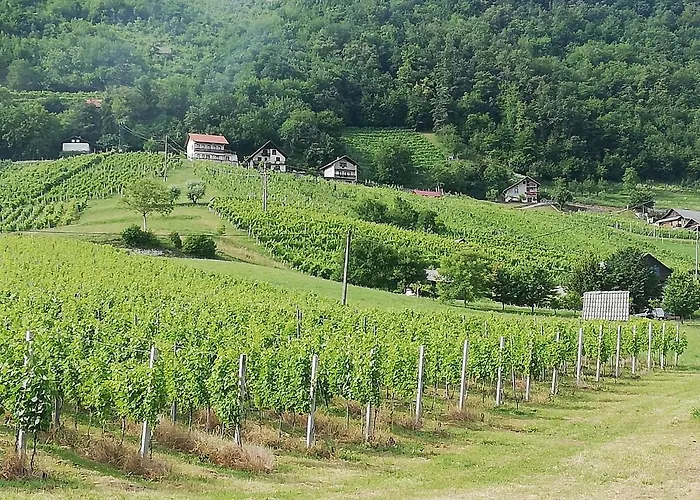 Grobelnik Tourist Farm Sevnica