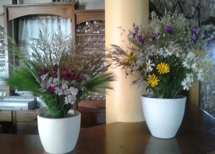 Bauernhof Grobelnik Tourist Farm